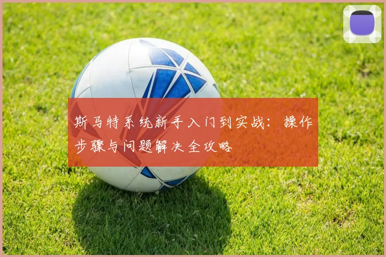 斯马特系统新手入门到实战:操作步骤与问题解决全攻略